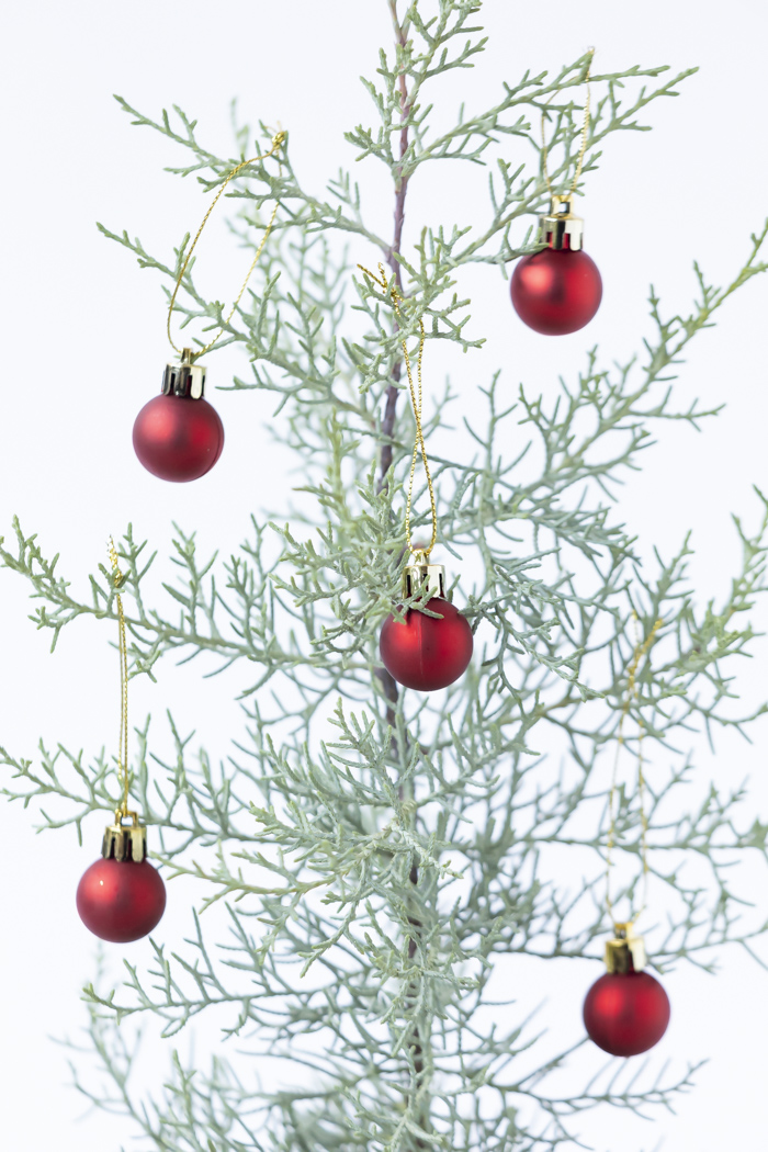 クリスマス限定商品 観葉植物 アリゾナイトスギ ブルーアイス（4号鉢）の写真8枚目