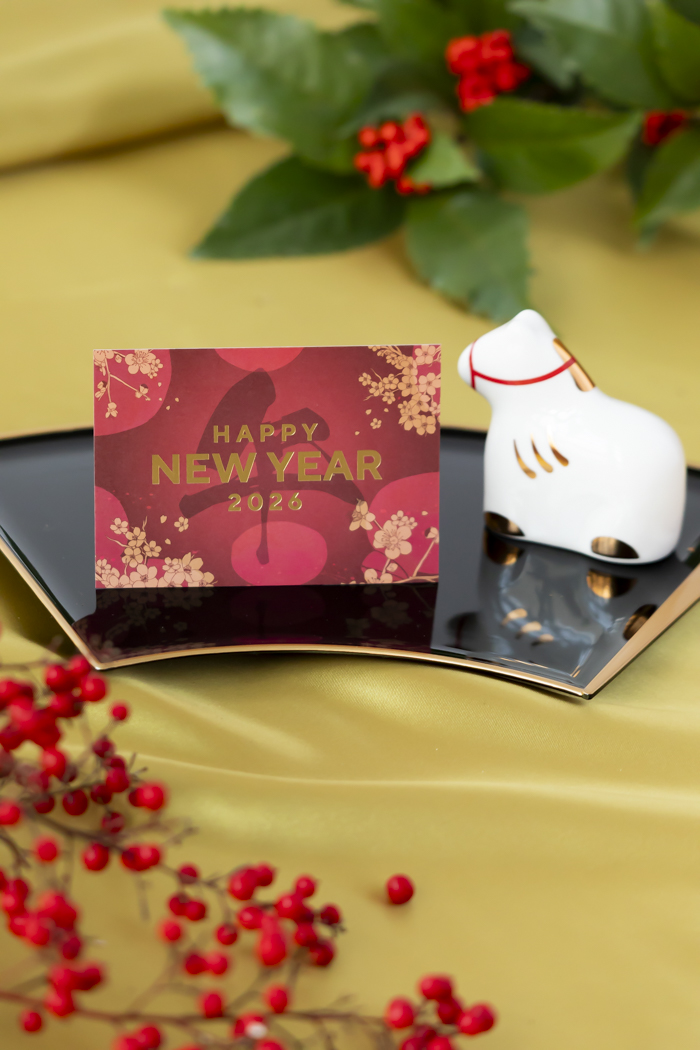 お正月限定 盆栽 黒松（3号鉢）の写真13枚目