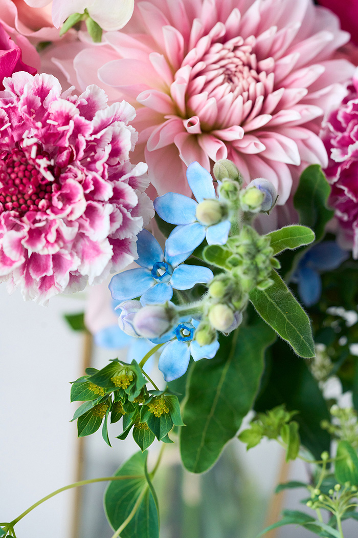 季節の花束 スタンダードブーケ #2261 size:100の写真5枚目