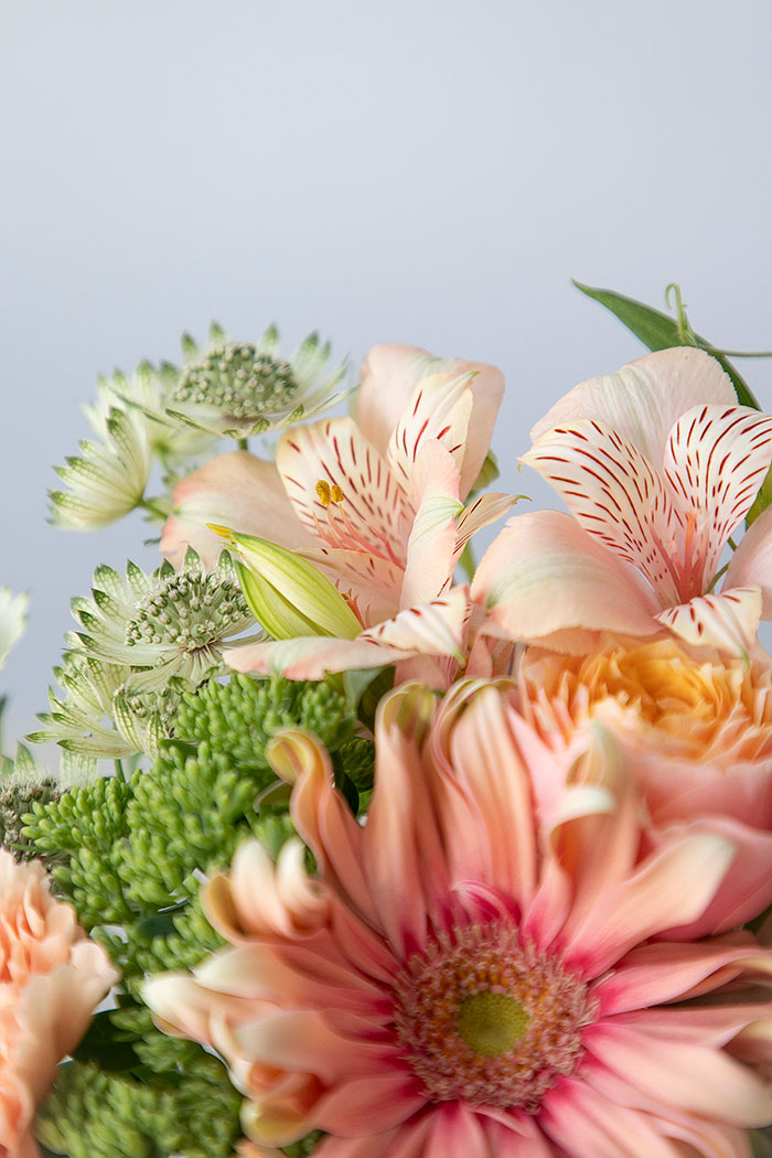 花束 ラウンドブーケ #2352 size:100の写真8枚目