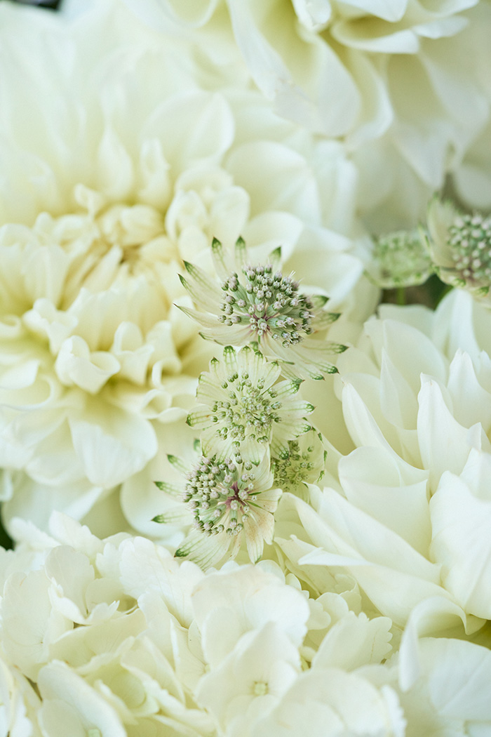 供花 花束 #2370 size:120の写真8枚目