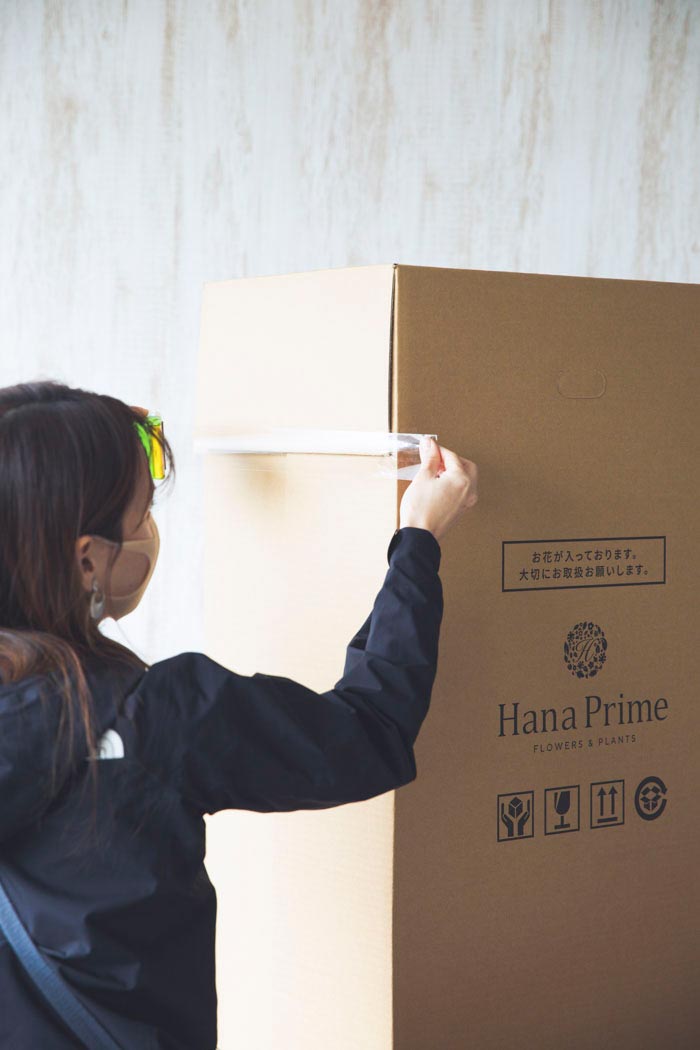 胡蝶蘭 大輪 33輪～36輪 3本立ち 白の写真7枚目