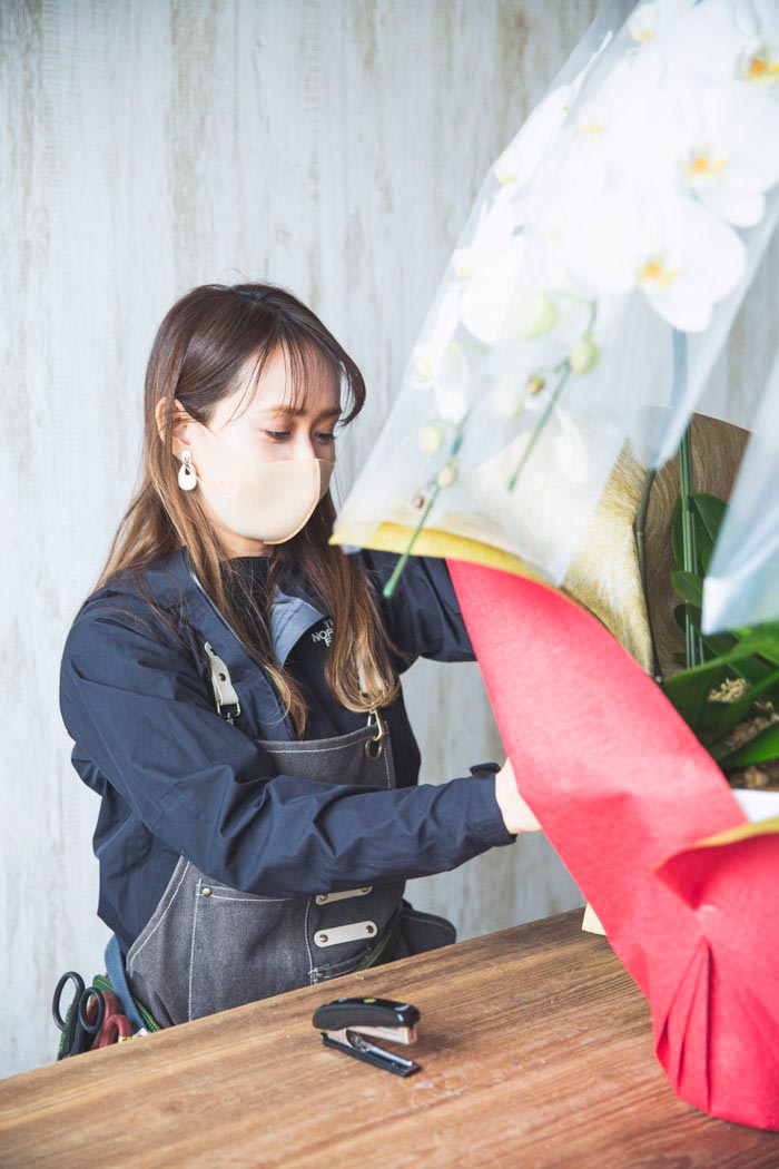 胡蝶蘭 大輪 30輪～33輪 3本立ち 赤リップの写真6枚目