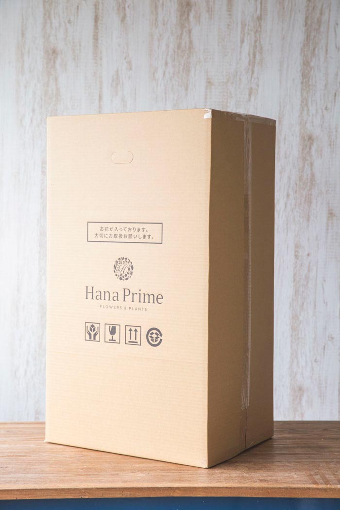 胡蝶蘭 大輪 30輪～33輪 3本立ち 白の写真9枚目