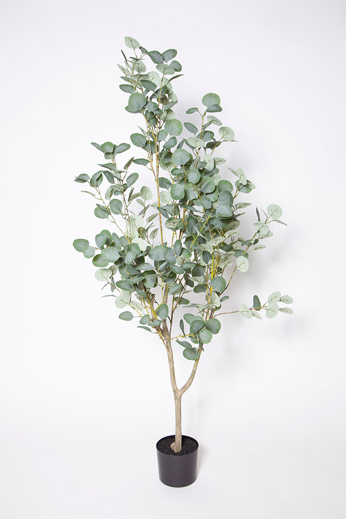 ユーカリ フェイクグリーン 公式 Hanaprime 花と植物のギフト通販 ユーカリ フェイクグリーン 公式 Hanaprime 花と植物のギフト通販