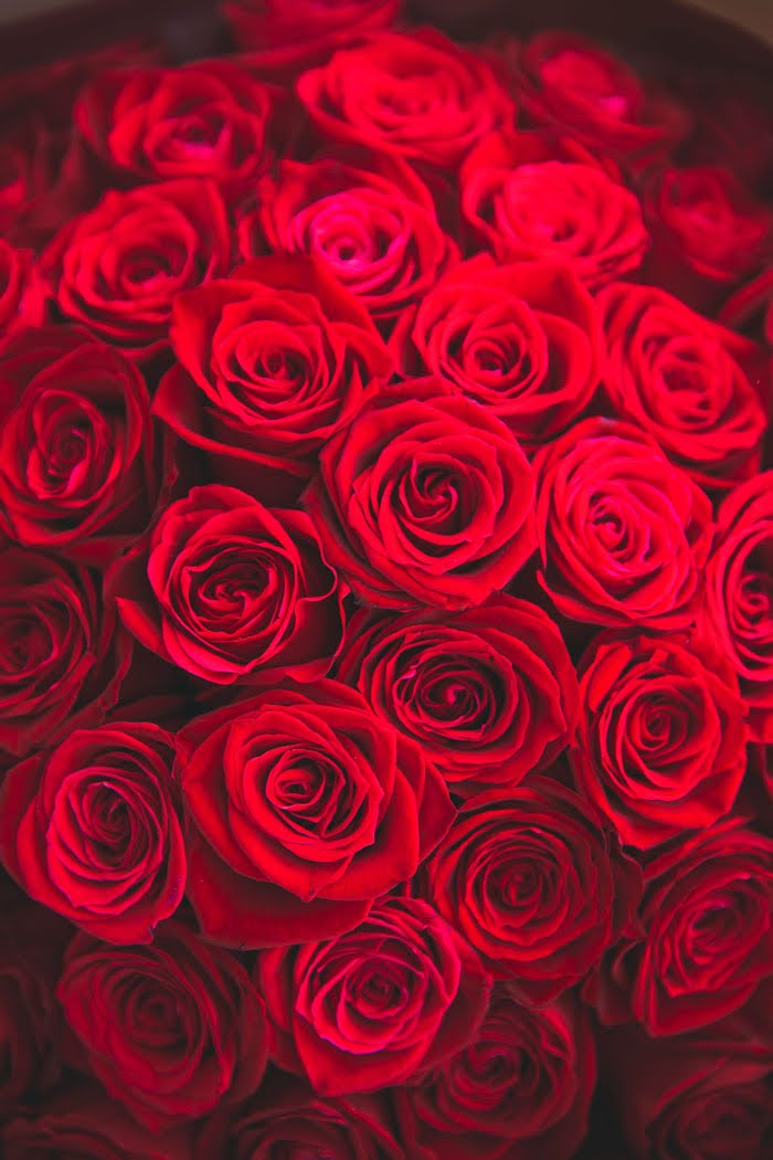 花束 ローズブーケ バラ 50本 #750 size:120　RED