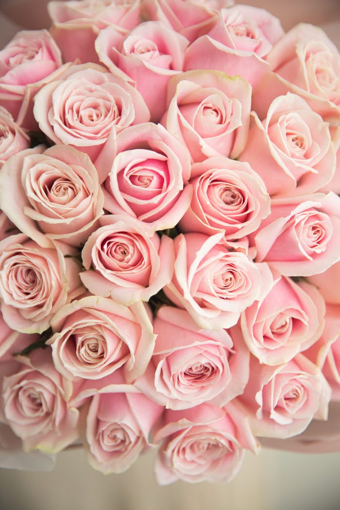 花束 ローズブーケ バラ30本 #797 size:100　薄PNK