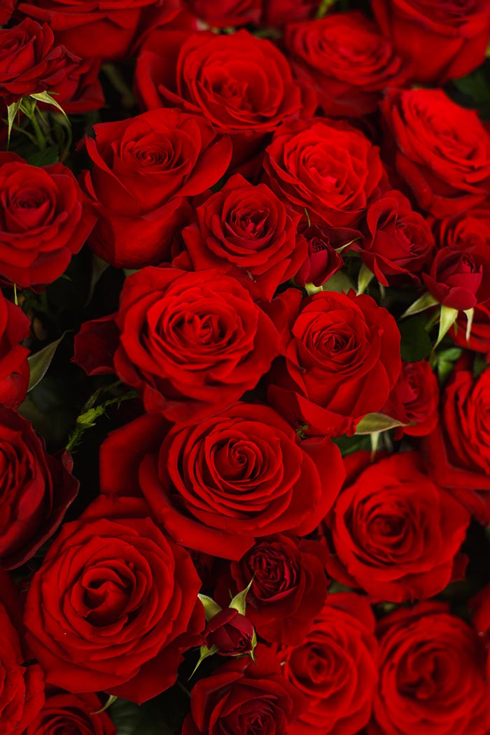 ローズのハート型スタンド花 1段 レッド #916