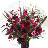 胡蝶蘭通販｜お祝いに贈る胡蝶蘭ギフト｜【公式】HanaPrime｜花 ...