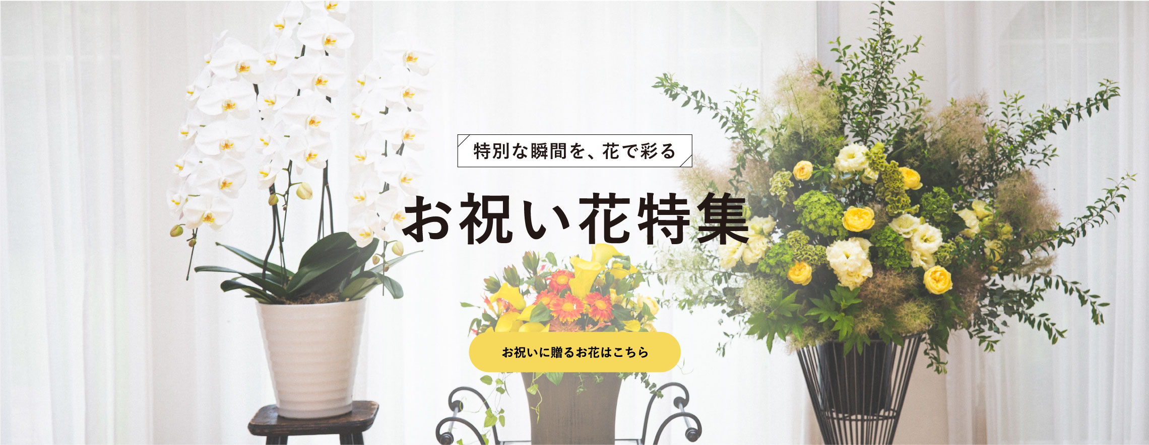 お祝い花特集