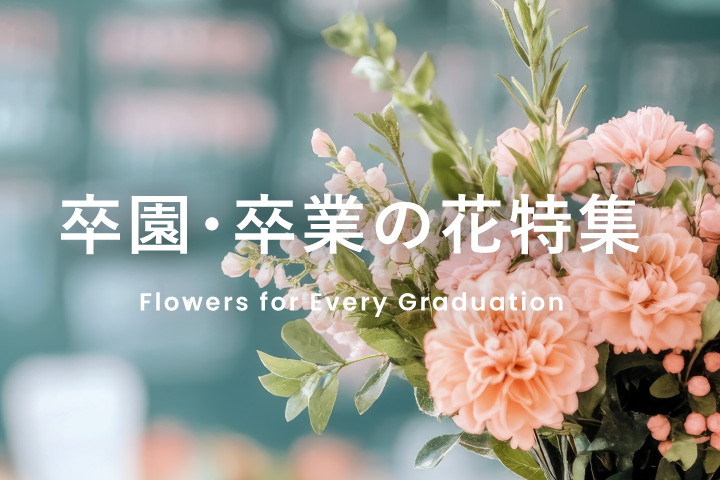 卒園・卒業の花特集