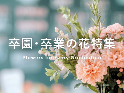 2026年卒園・卒業特設ページ公開