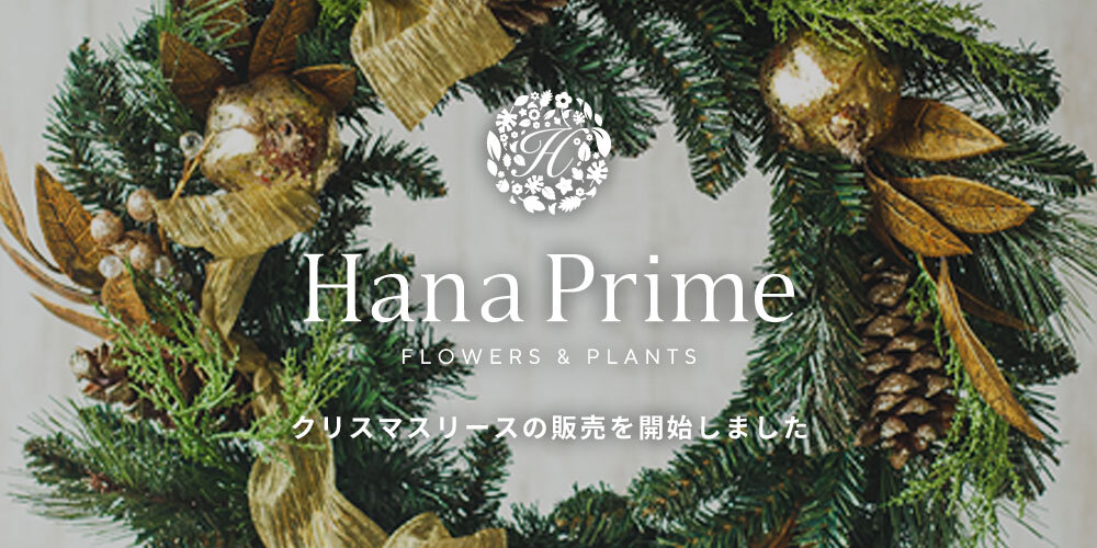 クリスマスリース の販売を開始しました 公式 Hanaprime 花と植物のギフト通販