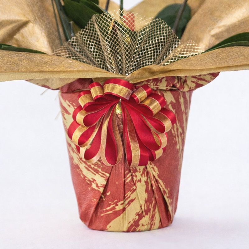 【正月限定】豪華（手作りリボン付き） 墨絵レッド