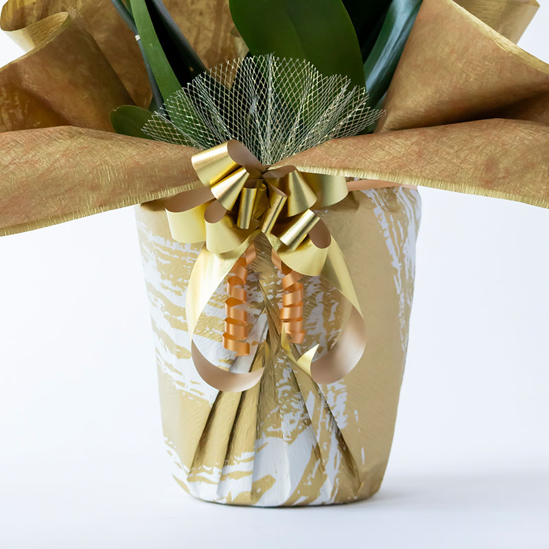 【正月限定】豪華 墨絵ゴールド