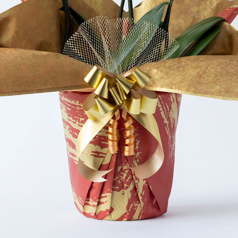 【正月限定】豪華 墨絵レッド