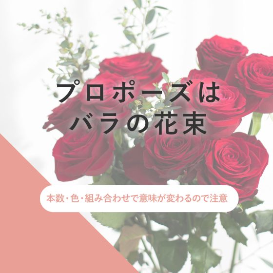 プロポーズに贈るバラの花束は何本がおすすめ？色で意味が変わるって本当？