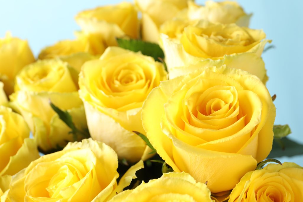 「父の日」に花を贈るときは“黄色いバラ”が定番