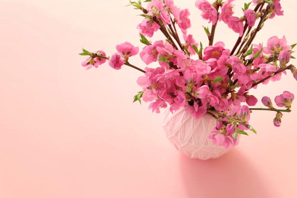 ひな祭りを彩るお花で心温まる祝いをしよう！