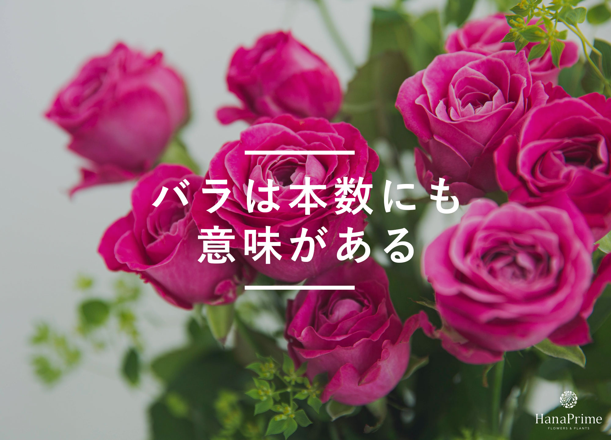1本の薔薇 花言葉 – てまり神社「ちいさなひかり」天使のお守り屋さん – DUVERN