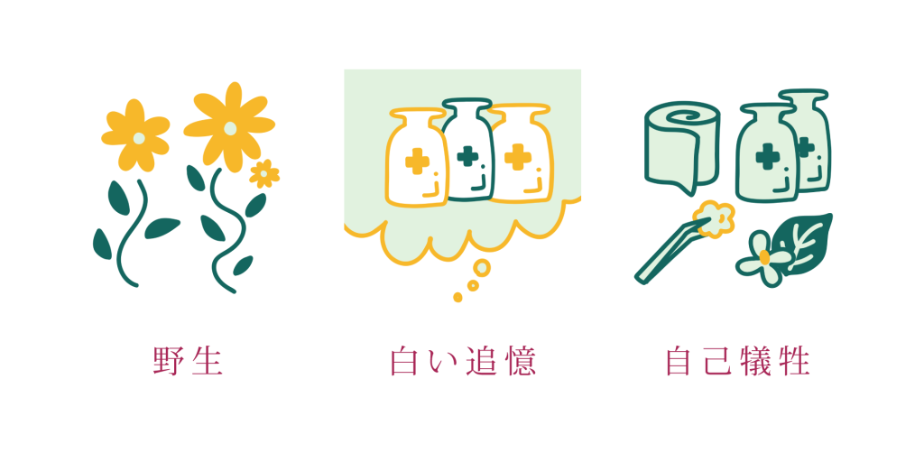 ドクダミの花言葉は「野生」「白い追憶」「自己犠牲」