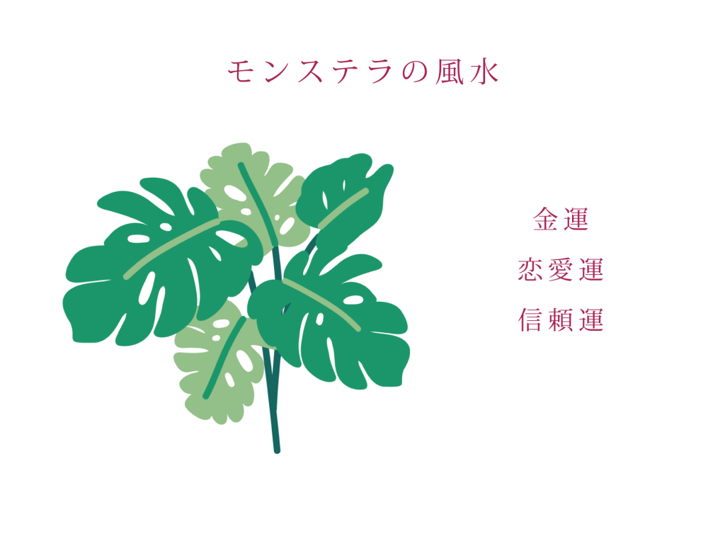 モンステラの風水