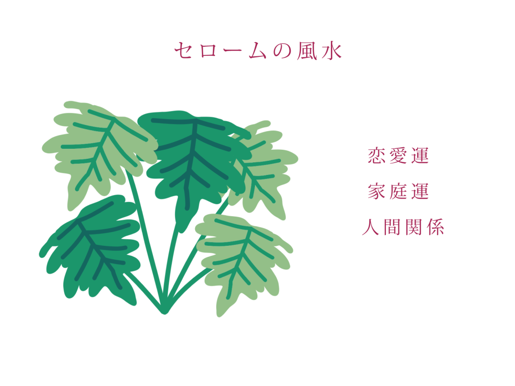 セロームの風水