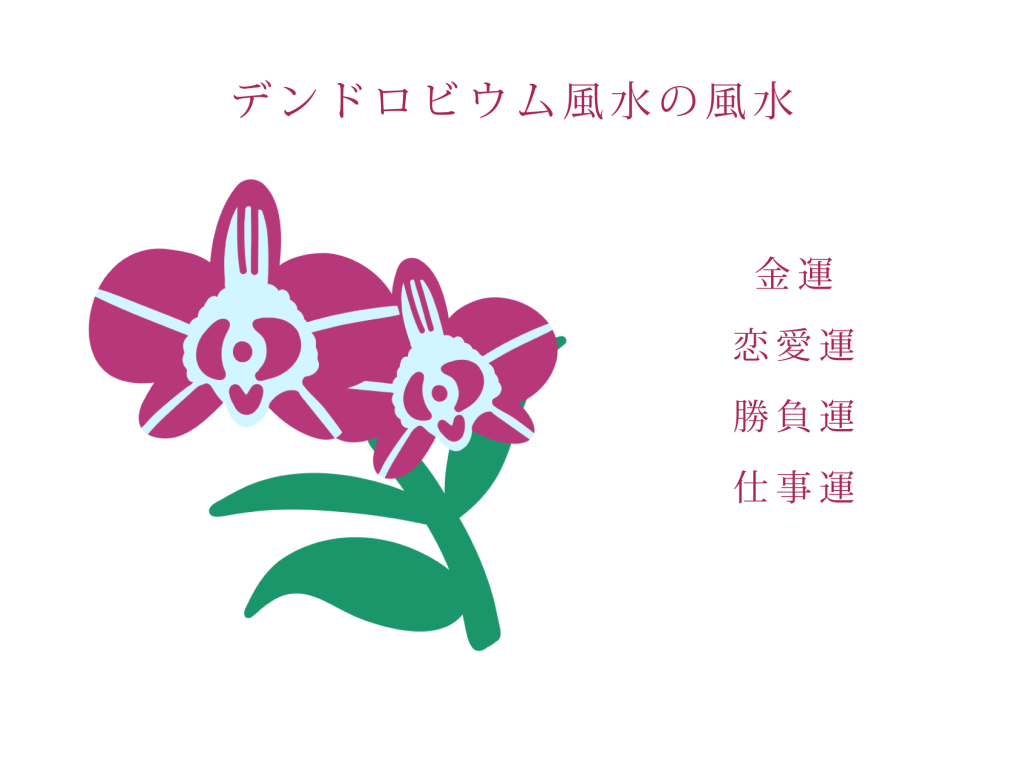 デンドロビウムの風水