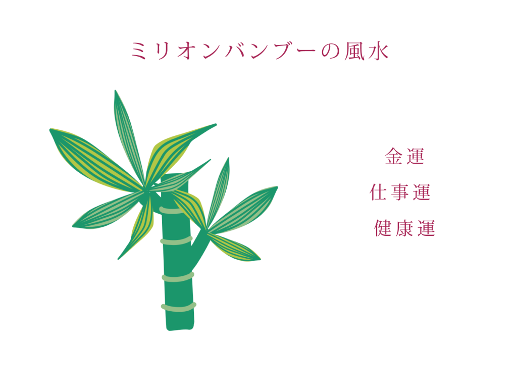 ミリオンバンブーの風水