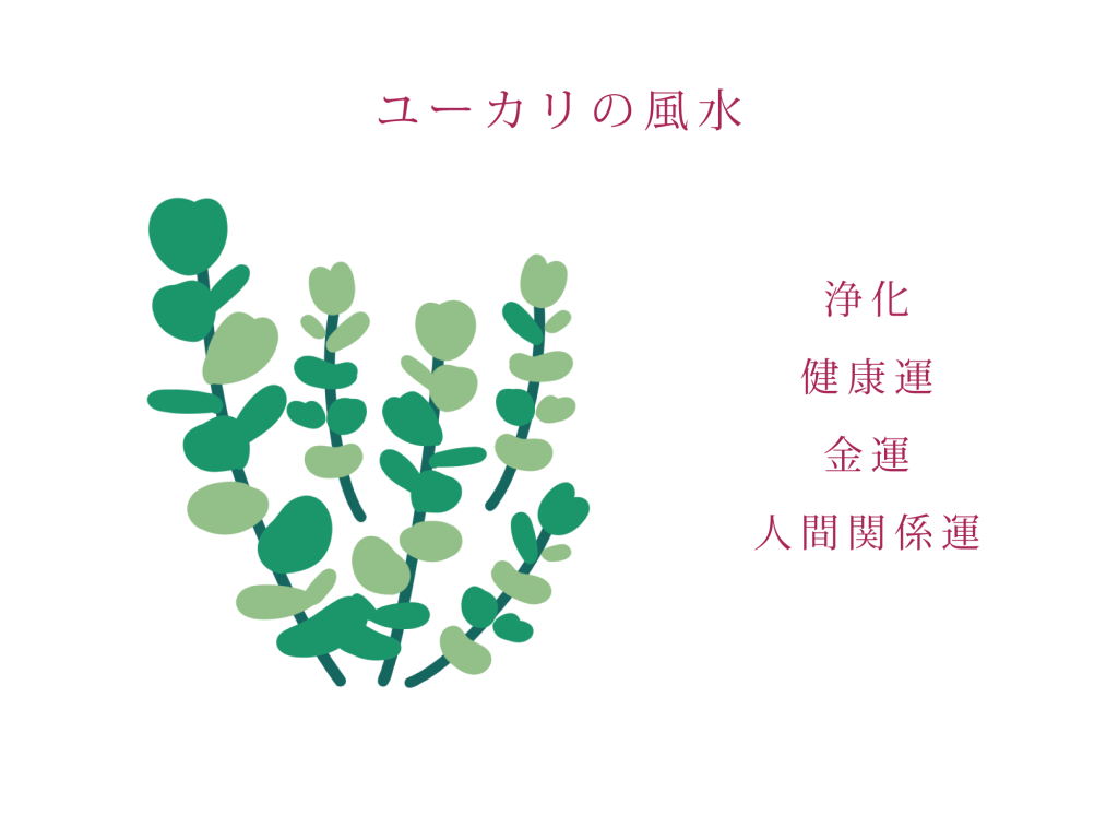 ユーカリの風水