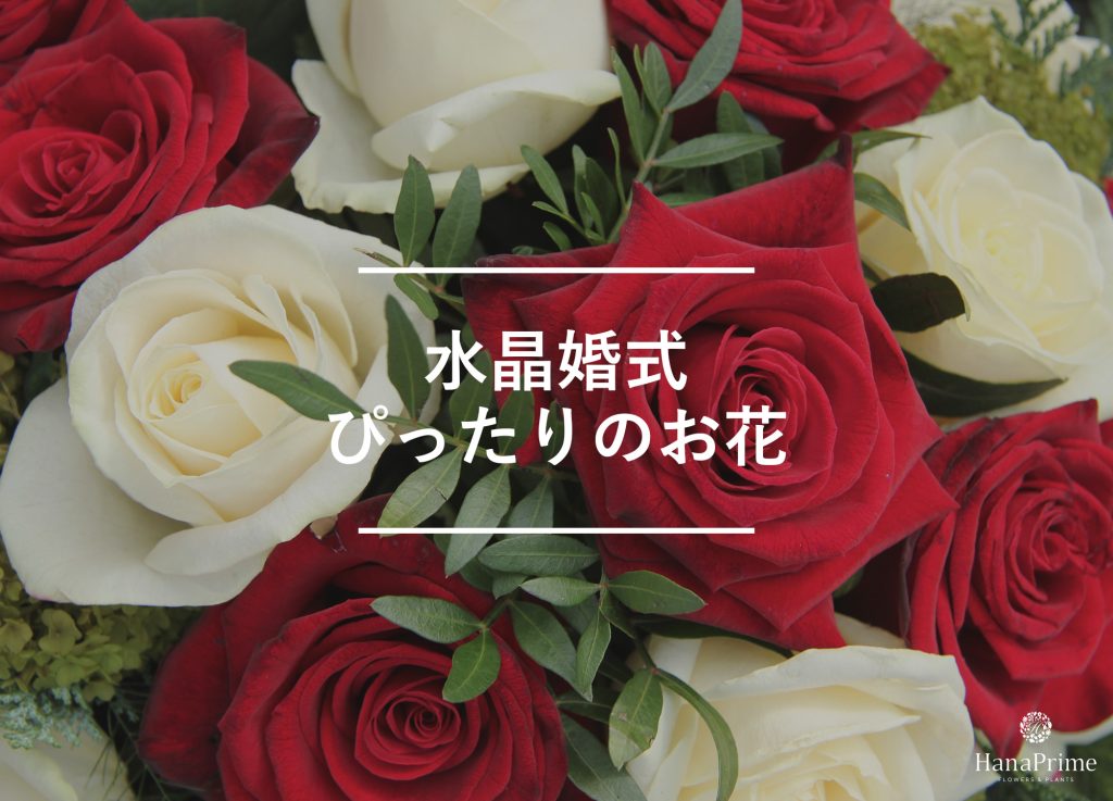 結婚15年目の結婚記念日にぴったりのお花4選