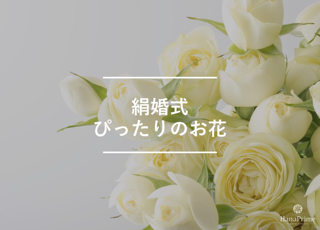 絹婚式のお祝いにぴったりの花と花の色