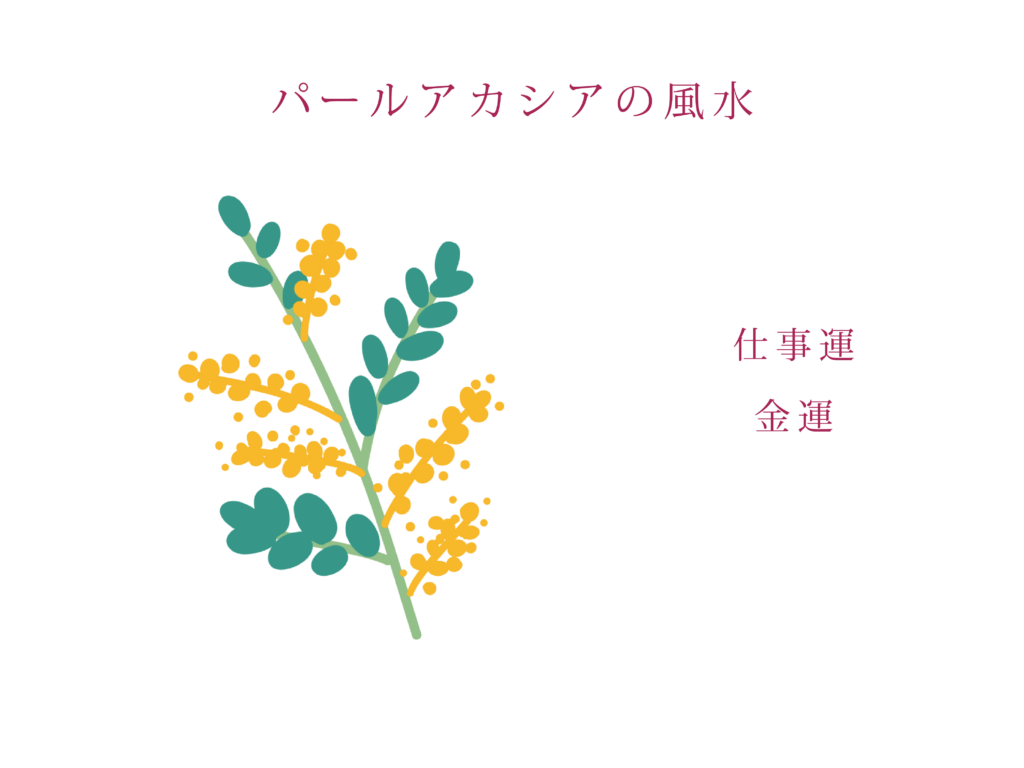 パールアカシアの風水