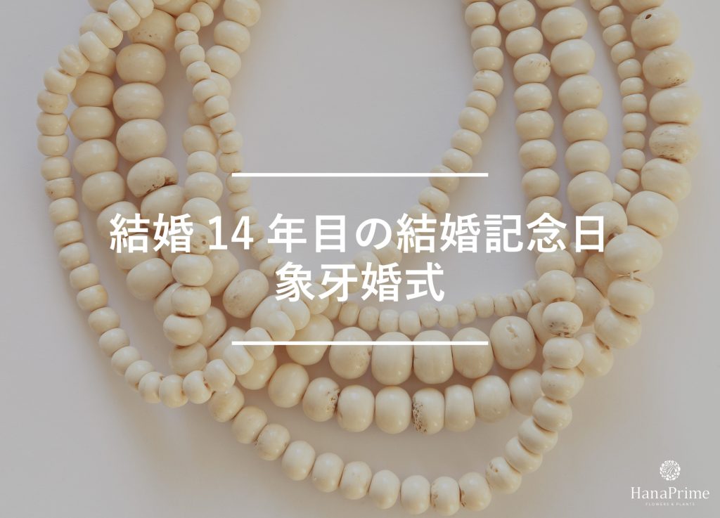 結婚14年目の結婚記念日は象牙婚式