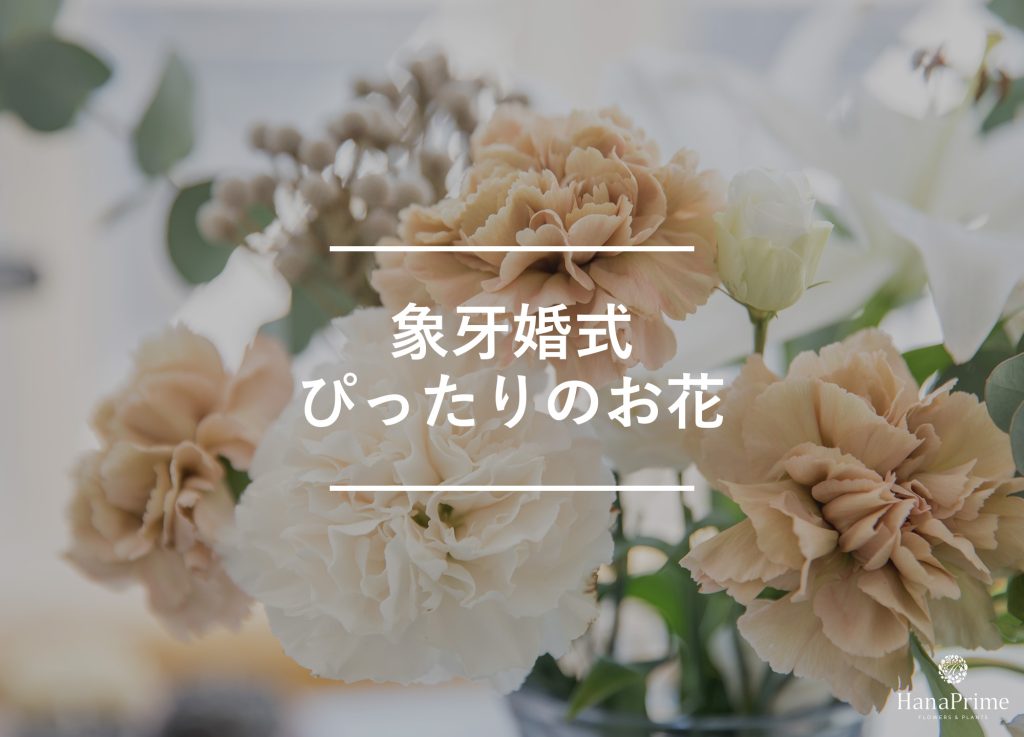 結婚14年目の結婚記念日にぴったりのお花4選