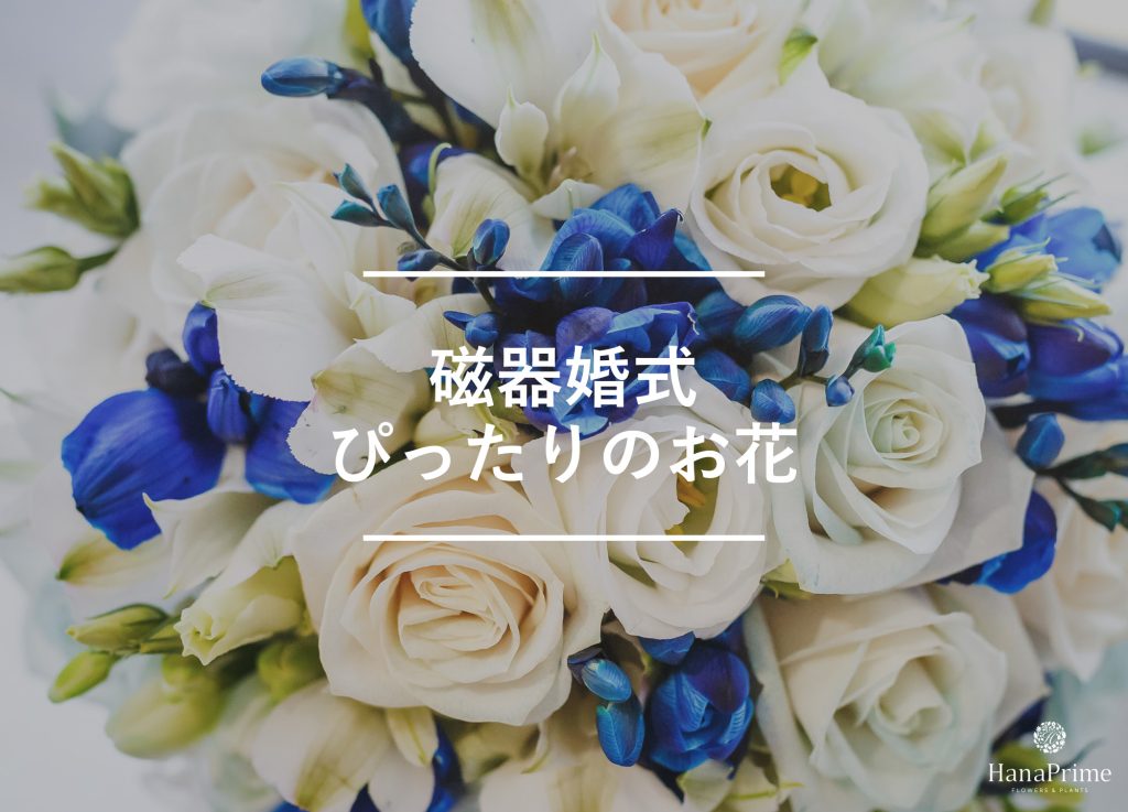 磁器婚式のお祝いにぴったりの花と花の色