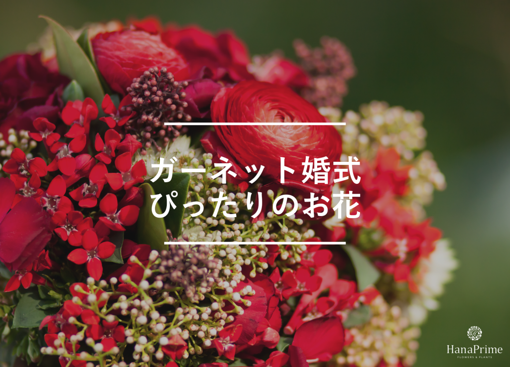 ガーネット婚式のお祝いにぴったりの花と花の色