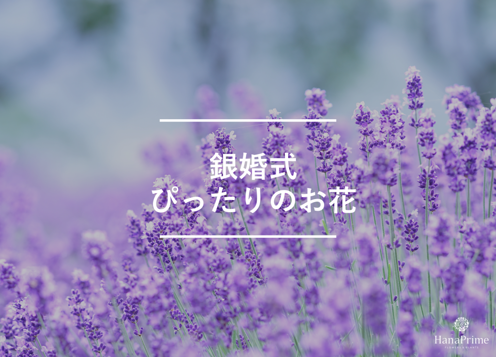 銀婚式のお祝いにぴったりの花と花の色