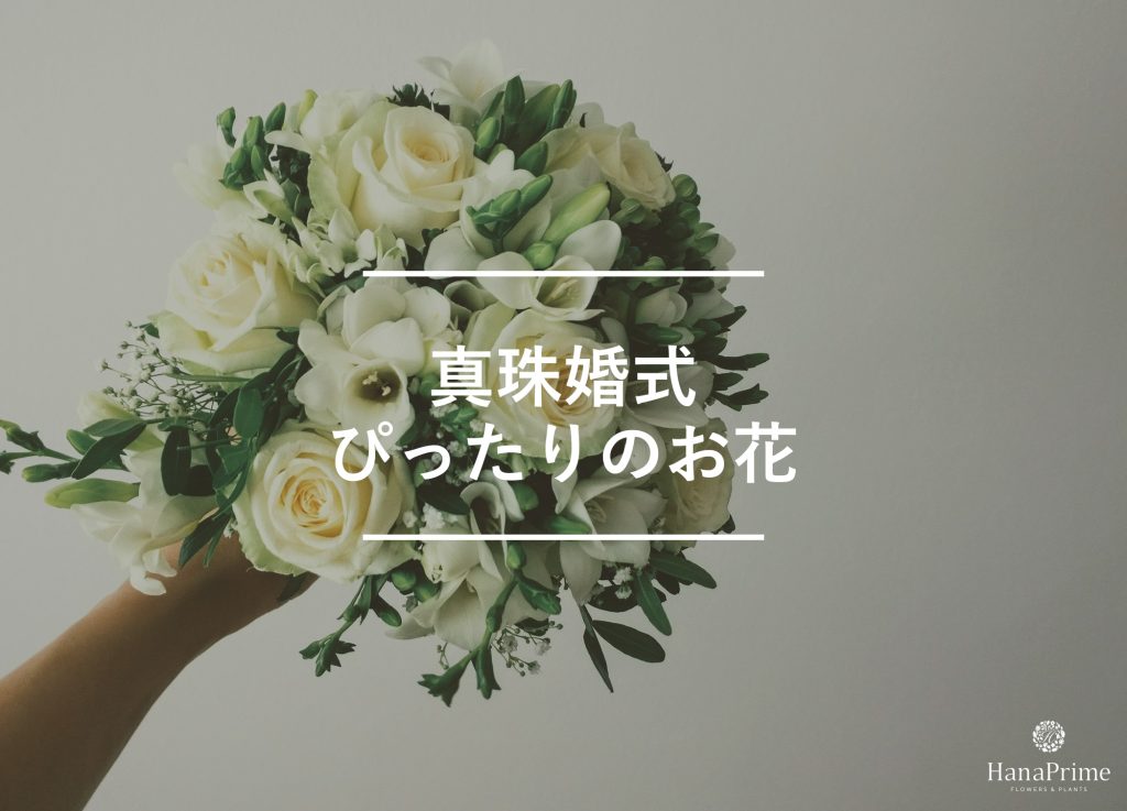 真珠婚式のお祝いにぴったりの花と花の色
