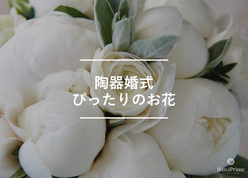 陶器婚式のお祝いにぴったりの花と花の色