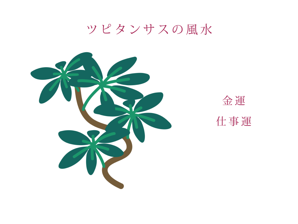 ツピタンサスの風水