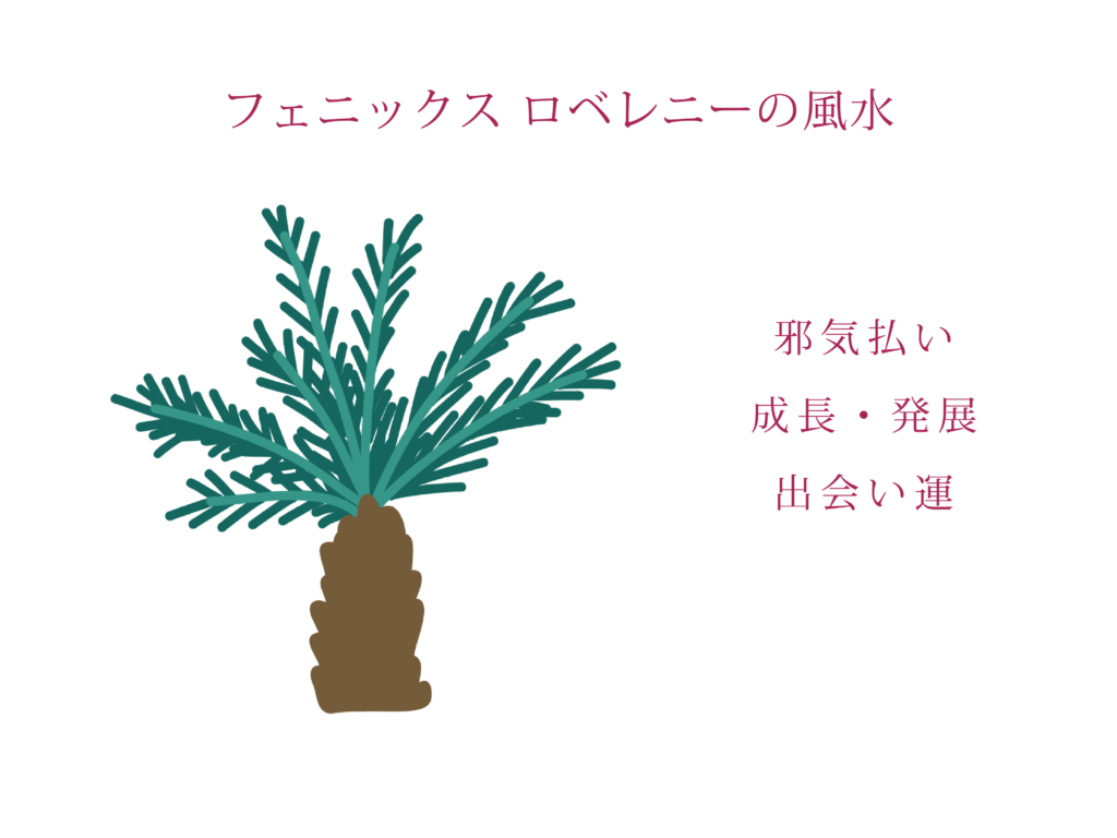 フェニックス ロベレニーの風水