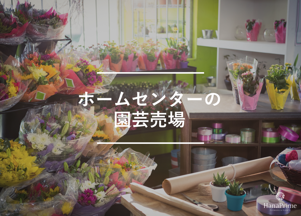 ⑥ ホームセンターの園芸売場