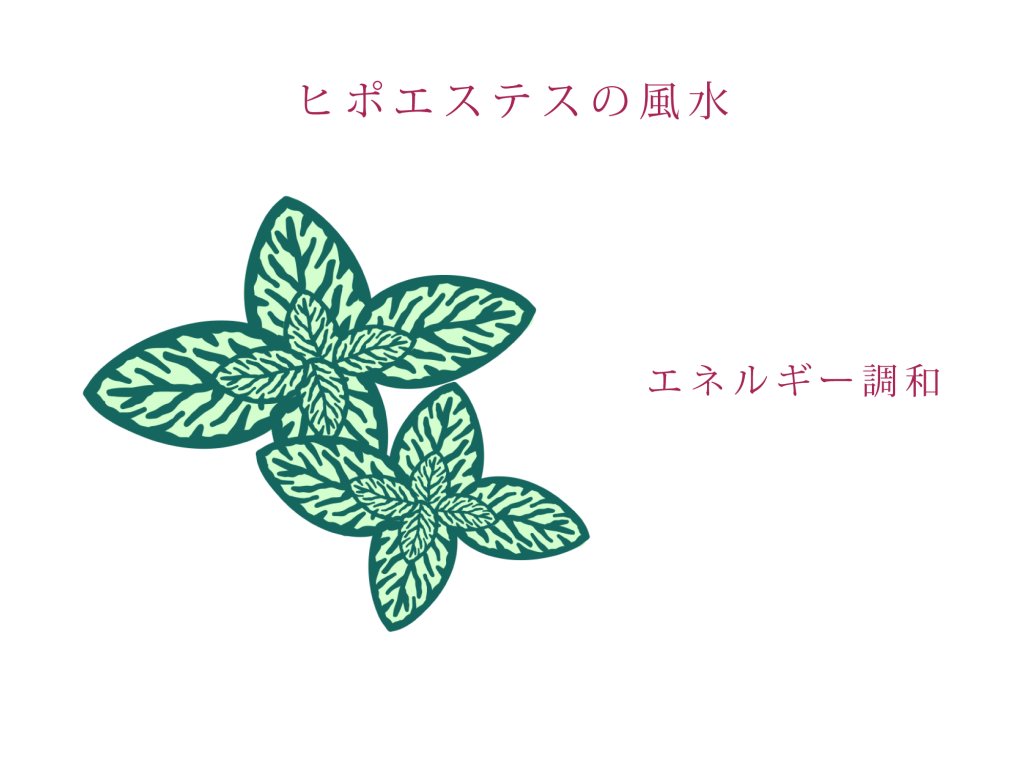 ヒポエステスの風水