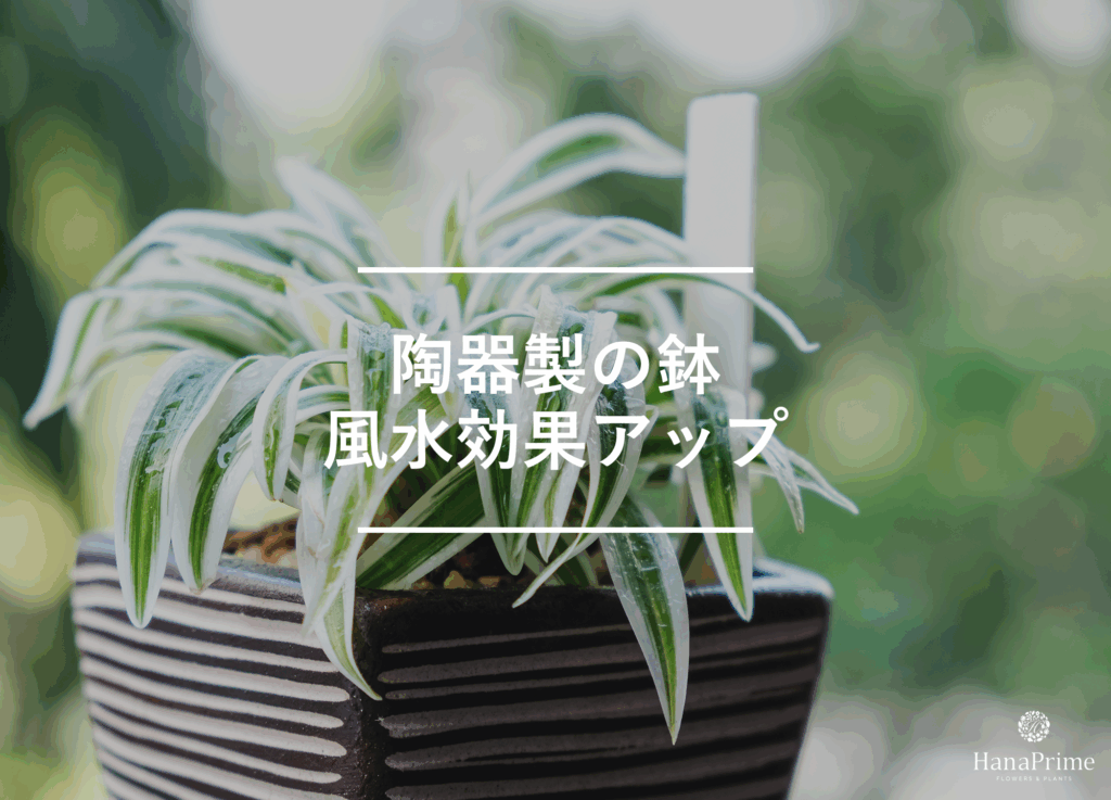 鉢植えは陶器製がおすすめ
