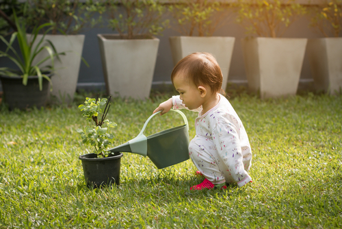 赤ちゃんやペットにも安全な観葉植物の虫よけ対策
