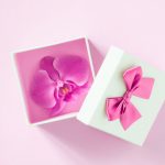 お誕生日の贈り物に選ばれる胡蝶蘭について