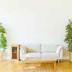 新築祝いに贈るおすすめの観葉植物