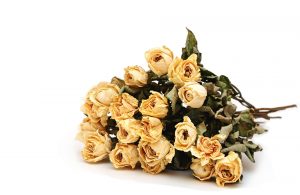 花束を贈る際のマナーとタブーを知ろう 選び方の注意点も Hanaprimeマガジン