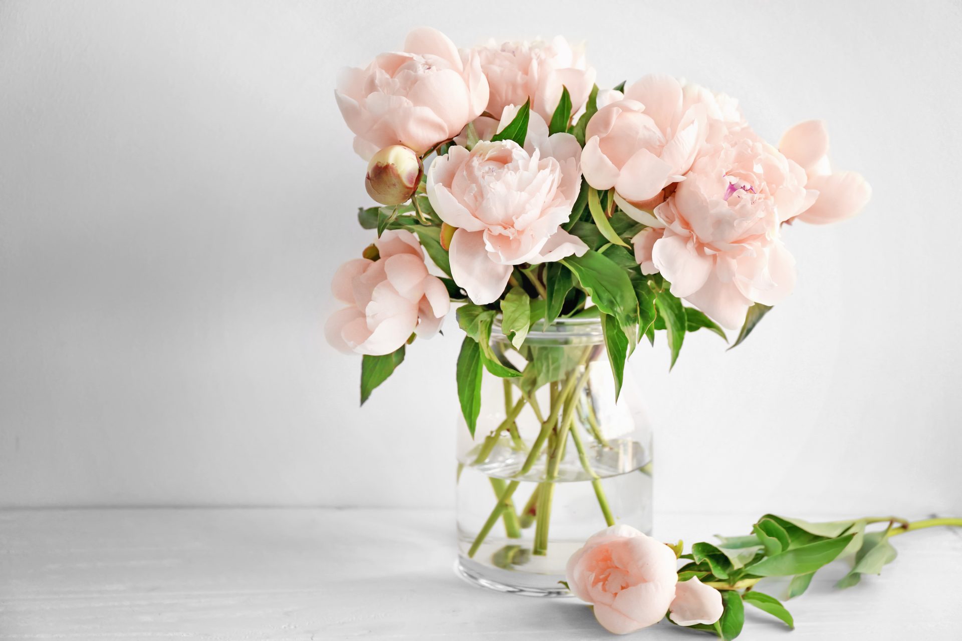 花束を飾る場所はどこがいい 花瓶の選び方や飾り方を紹介 Hanaprimeマガジン